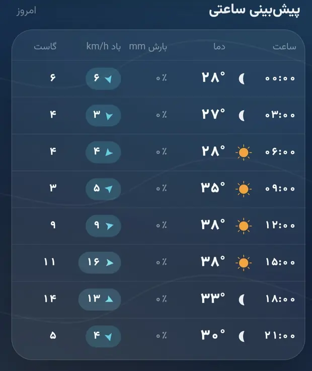 جدول ساعتی هوانما: ساعت، دما، بارش، باد و گاست